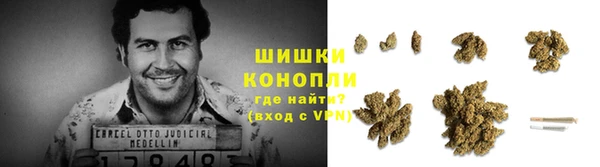 гидра Осинники